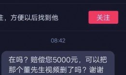 视频爆料给钱,巨额资金背后的秘密交易