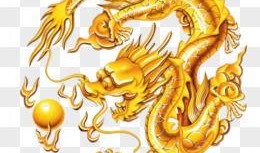 爆料五爪金龙视频下载免费,免费下载震撼视频，探寻神秘国宝之谜