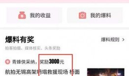 怎样爆料头条内容视频,如何轻松生成爆款内容