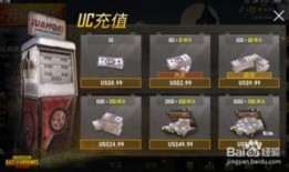 吃鸡国际服最新版本爆料,全新内容与玩法大曝光！