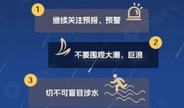海哥最新爆料新闻报道图片,最新爆料新闻报道图片背后的惊人真相