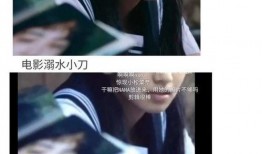 娱乐圈小说推文吃瓜,从吃瓜小白到顶级瓜农的华丽蜕变