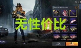 军需新皮肤最新爆料军需币,揭秘军需新皮肤生成机制