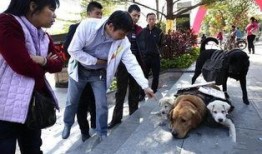 最新台湾狗崽爆料