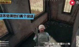 外国人爆料吃鸡视频大全,揭秘外国网友分享的吃鸡游戏精彩瞬间大盘点
