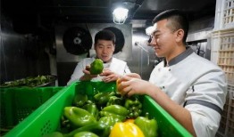 盐城吃瓜最新事件爆料新闻,最新吃瓜事件，真相揭秘！