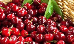 樱桃琥珀爆料视频,揭秘神秘事件背后的真相