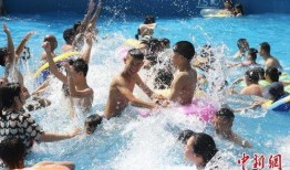 娱乐吃瓜冲浪社,揭秘娱乐圈幕后故事，带你畅游八卦海洋