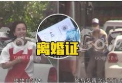 名星热点爆料最新消息今天,今日热点爆料，揭秘娱乐圈最新动态