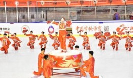 冰上舞蹈视频在线观看,跟随在线视频领略舞蹈之美