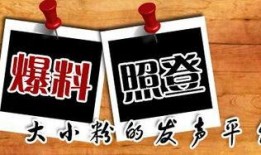 南宁当地新闻爆料平台电话,揭秘本地最新动态，一键掌握南宁资讯