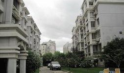 杭州新花园爆料最新消息,揭秘神秘项目背后的故事