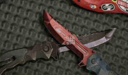 暗区突围最新爆料瞄准镜