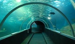 厦门海底隧道视频爆料,揭秘海底交通巨构的震撼瞬间