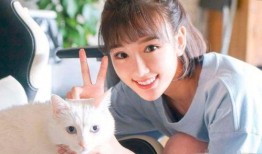 毛晓彤娱乐圈爆料,揭秘明星背后的真实故事