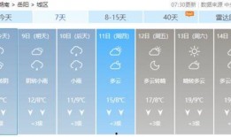 怎么查看本地爆料新闻,如何查看本地爆料新闻