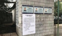 沙河村最新爆料消息今天,揭秘背后惊人真相