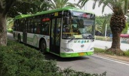 金龙公交车爆料案件最新,真相大白，疑云散去，正义终将抵达”