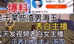 邢台渣男爆料视频大全最新,视频大全揭露不雅行径，引发社会关注