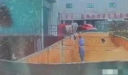 青岛啤酒视频爆料最新,探寻品牌背后的传奇故事