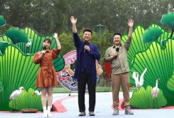 乐山酒店爆料视频最新消息,惊人内幕曝光，真相令人震惊！