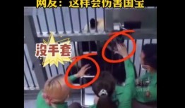 韩综组建女团爆料视频,独家爆料视频深度解析