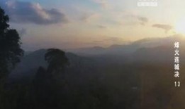 平原烽火在线观看