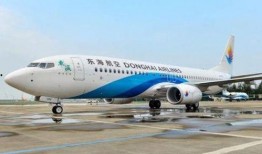 东海航空最新爆料,揭秘神秘航线背后的故事