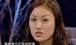 武哥爆料小翠视频大全,小翠视频大全背后的精彩故事