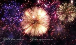 烟花爆料视频素材,揭秘烟花制作与燃放奥秘