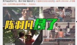 七仔粉丝爆料事件视频,揭秘事件背后真相
