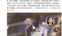 爆料金靖恋情视频大全,盘点甜蜜瞬间，揭秘明星甜蜜爱情故事