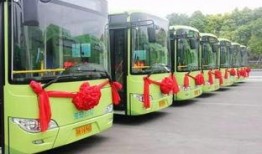 金龙公交车爆料案件最新,真相大白，疑云散去，正义终将抵达”