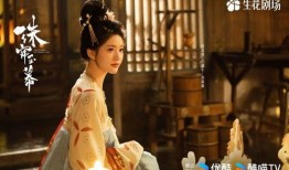 珠帘玉幕最新爆料,揭秘神秘爆料背后的精彩故事