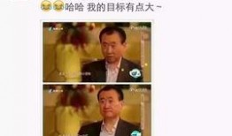 江南舅舅爆料视频完整版,完整版内容深度解析