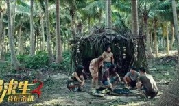 荒岛求生电影在线观看,孤岛求生者的生死挑战