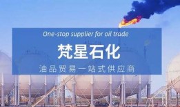惠州23日今日一线爆料,揭秘背后惊人真相！