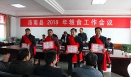 洛南爆料最新新闻报道,最新热点事件深度解析