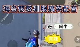 吃鸡爆笑爆料视频大全下载,欢乐无限