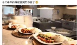 娱乐吃瓜酱弟弟吃剩饭,揭秘弟弟吃剩饭背后的故事