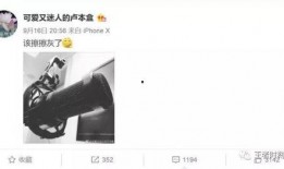 叶某婷微博爆料最新消息,揭秘事件背后惊人真相