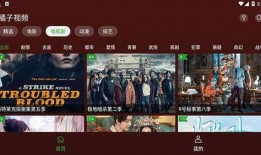 八卦爆料分享视频,揭秘热门视频背后的秘密！