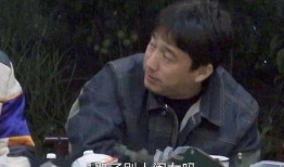 天涯爆料黄磊视频,天涯爆料背后的真相与争议