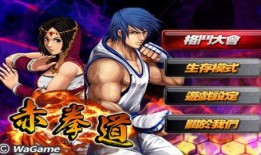 寅虎赤拳爆料视频大全,揭秘爆料视频大全背后的精彩瞬间