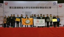 新闻爆料小组,最新热点事件深度剖析