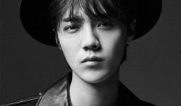 韩国爆料鹿晗事件视频,真相揭秘，网友热议