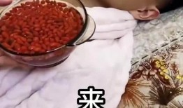 大郎夫妇爆料视频播放,揭秘背后惊人真相