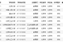 神子技能爆料数据最新版,揭秘神秘力量与华丽变身