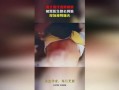缅北医生爆料视频大全集,真实事件背后的惊心动魄