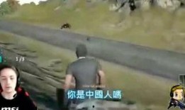 外国人爆料吃鸡视频大全,揭秘外国网友分享的吃鸡游戏精彩瞬间大盘点
